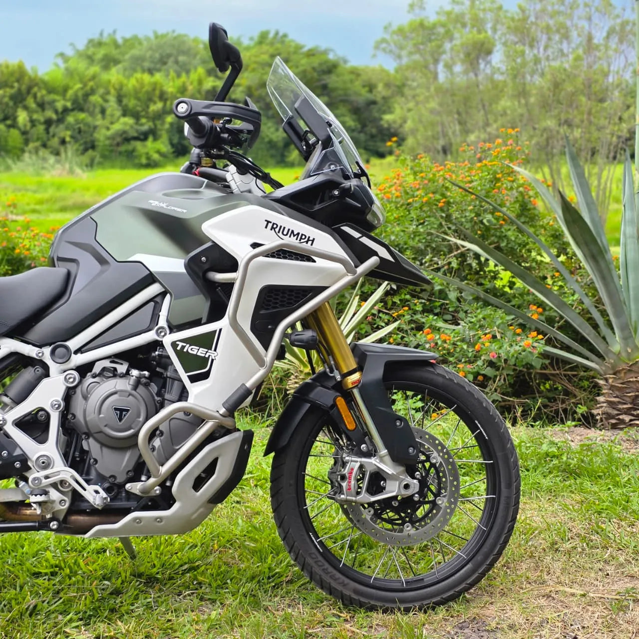 Tiger Rally Pro 1200 2024