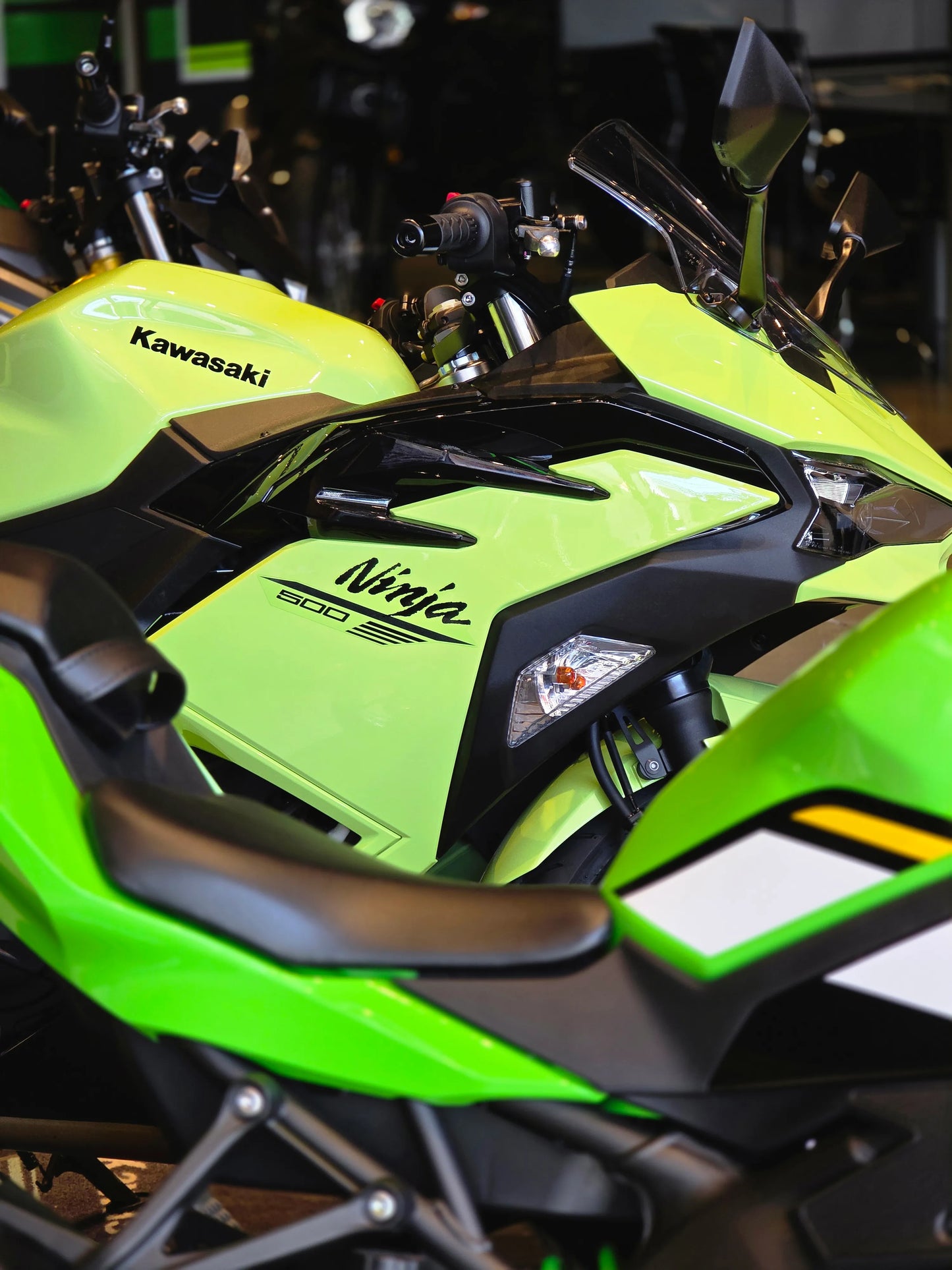 Kawasaki Ninja 500 SE