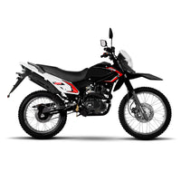 Motomel Skua 250 - MYM MOTOS S.A