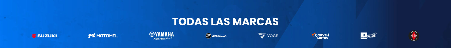 Motocicletas 110