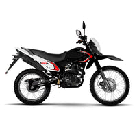 Motomel Skua  1 1