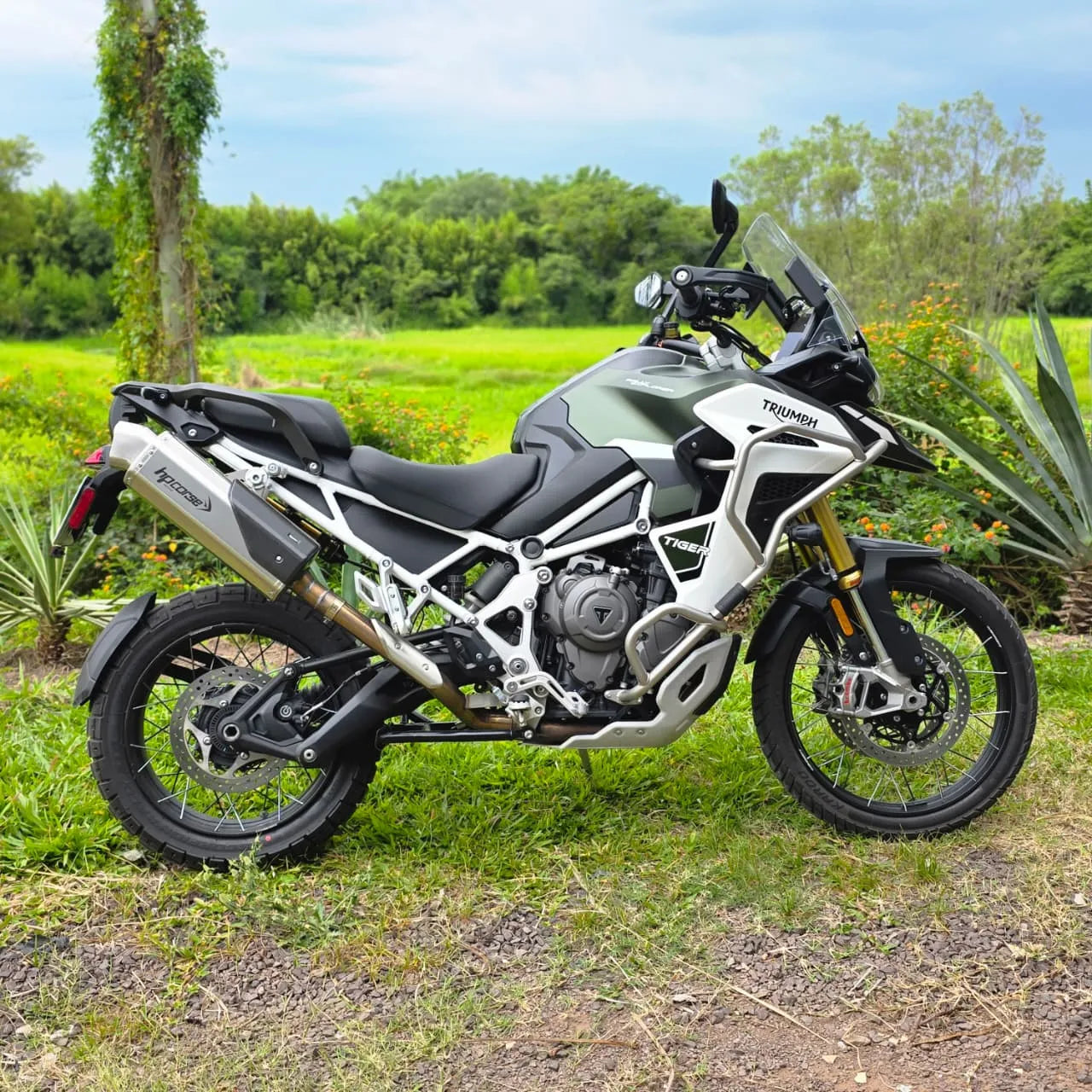 Tiger Rally Pro 1200 2024