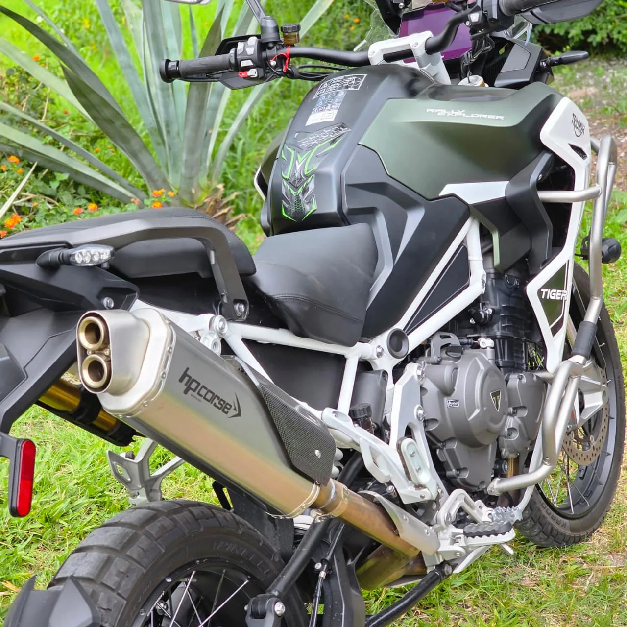 Tiger Rally Pro 1200 2024